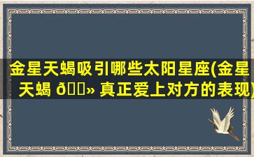 金星天蝎吸引哪些太阳星座(金星天蝎 🌻 真正爱上对方的表现)